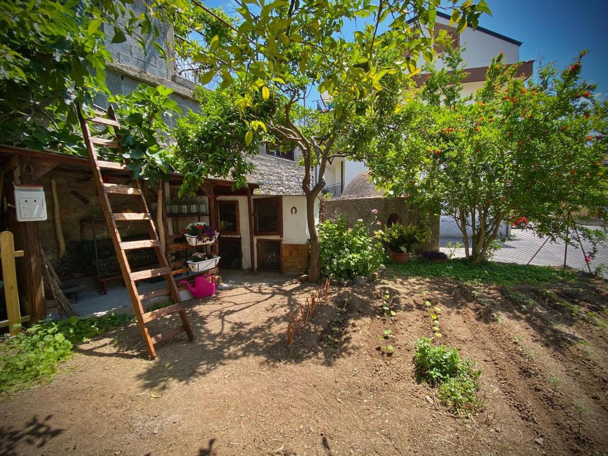 Casa Vacanze Gli Agrumi Agropoli Εξωτερικό φωτογραφία