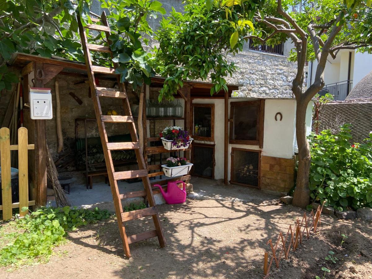 Casa Vacanze Gli Agrumi Agropoli Εξωτερικό φωτογραφία