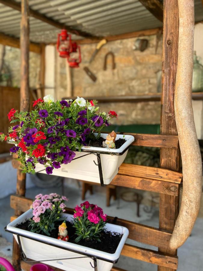 Casa Vacanze Gli Agrumi Agropoli Εξωτερικό φωτογραφία